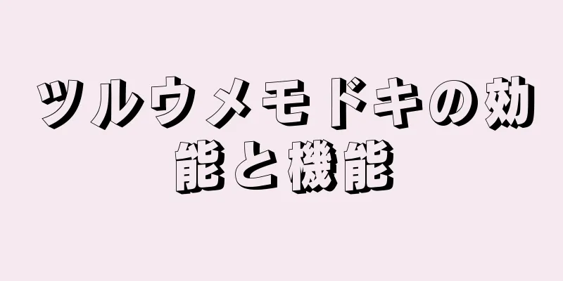 ツルウメモドキの効能と機能