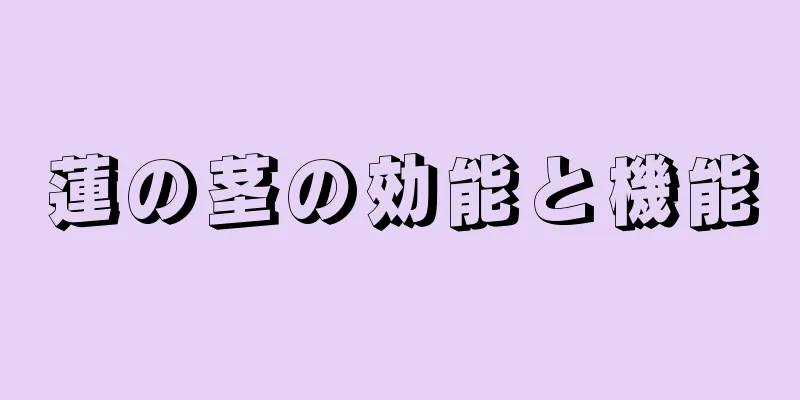 蓮の茎の効能と機能