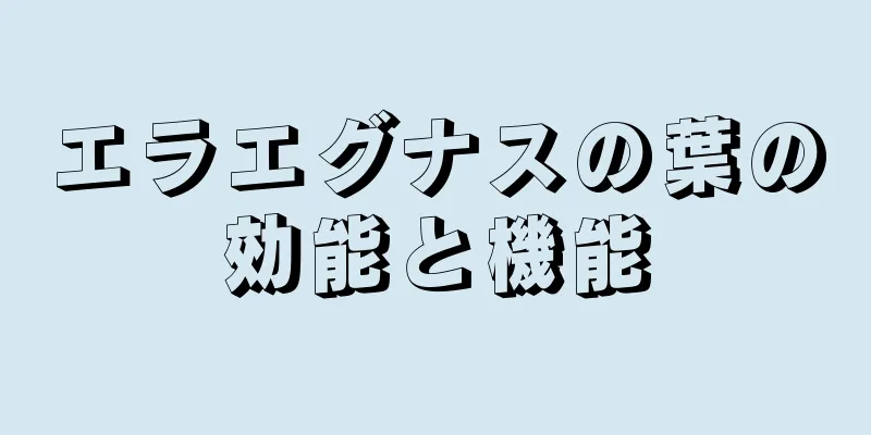 エラエグナスの葉の効能と機能