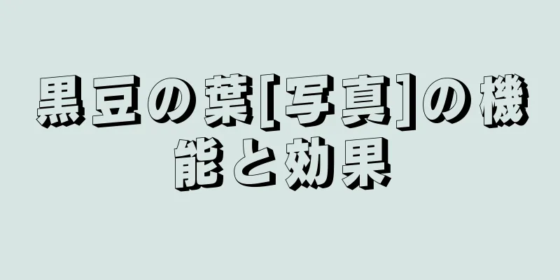 黒豆の葉[写真]の機能と効果