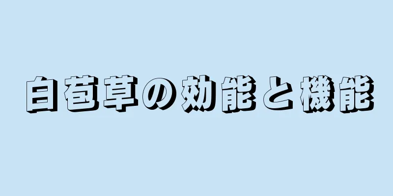 白苞草の効能と機能