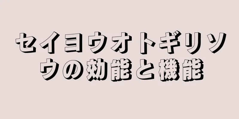 セイヨウオトギリソウの効能と機能