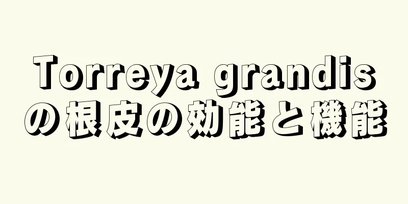 Torreya grandisの根皮の効能と機能