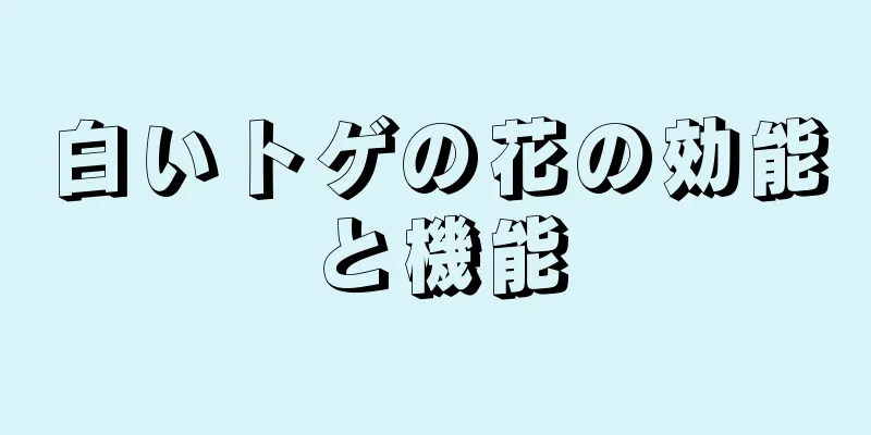 白いトゲの花の効能と機能