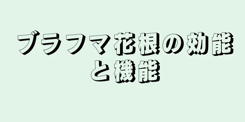 ブラフマ花根の効能と機能
