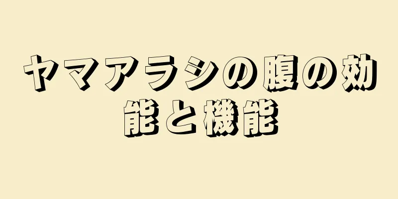 ヤマアラシの腹の効能と機能