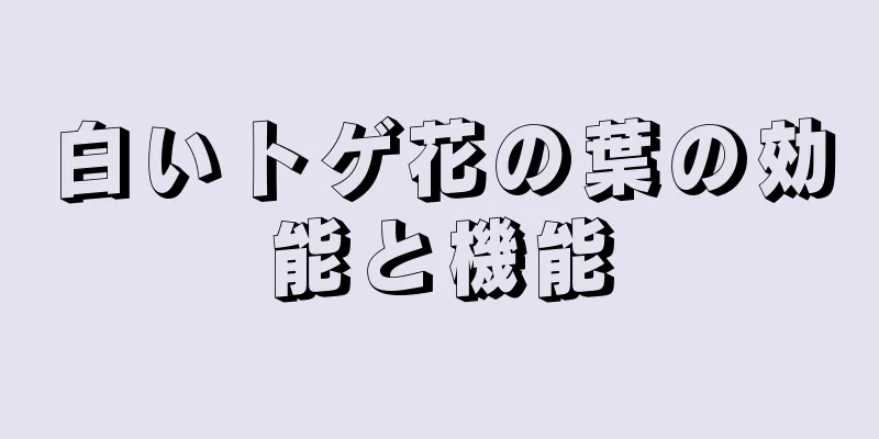白いトゲ花の葉の効能と機能