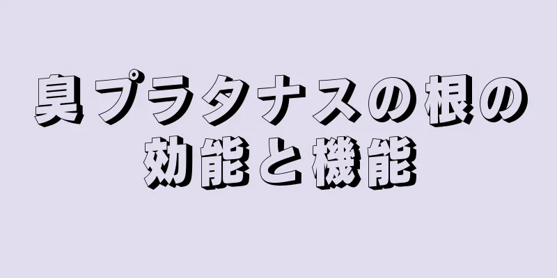 臭プラタナスの根の効能と機能
