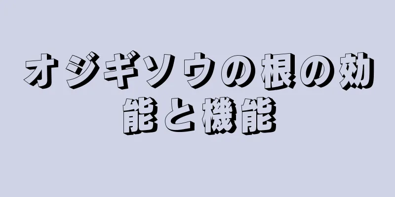 オジギソウの根の効能と機能