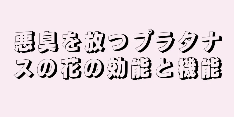 悪臭を放つプラタナスの花の効能と機能