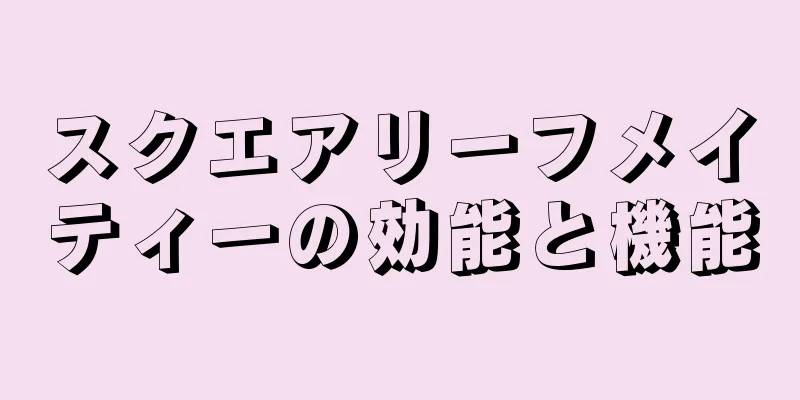 スクエアリーフメイティーの効能と機能