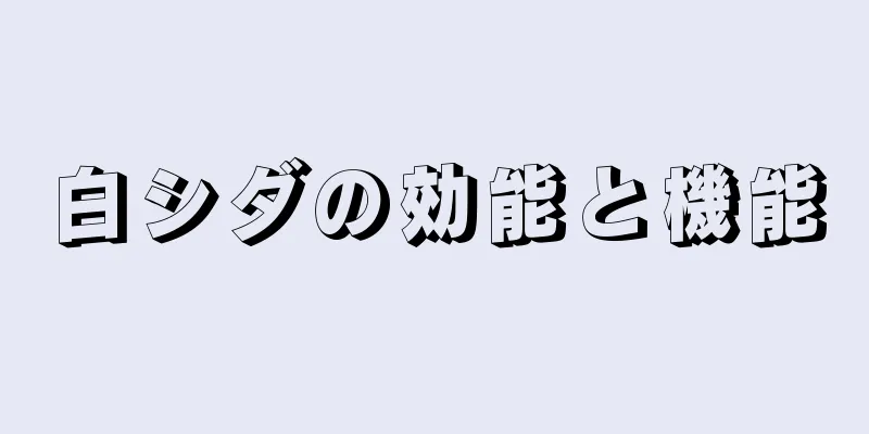 白シダの効能と機能