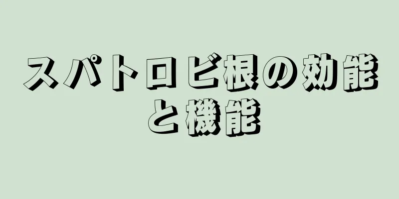 スパトロビ根の効能と機能