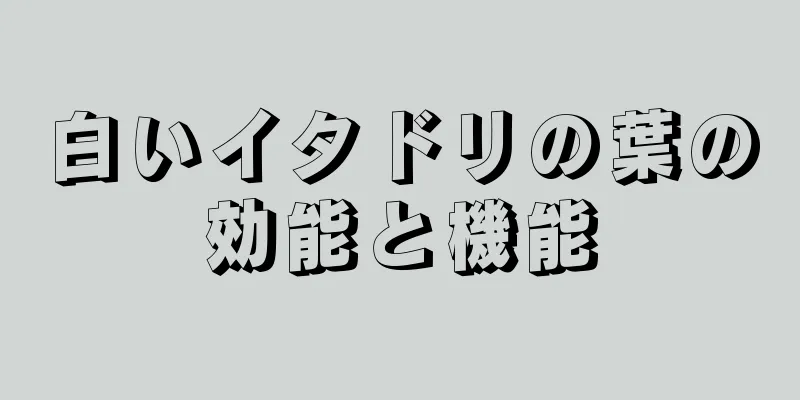 白いイタドリの葉の効能と機能