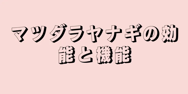 マツダラヤナギの効能と機能