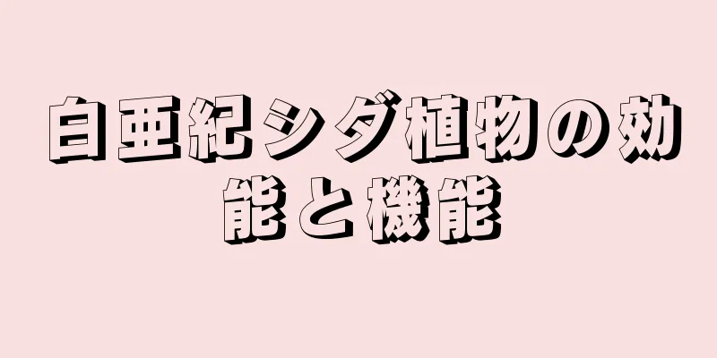 白亜紀シダ植物の効能と機能