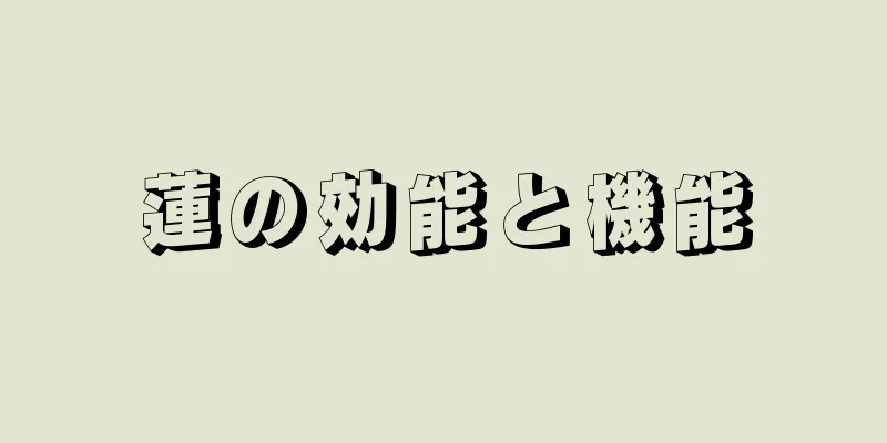 蓮の効能と機能