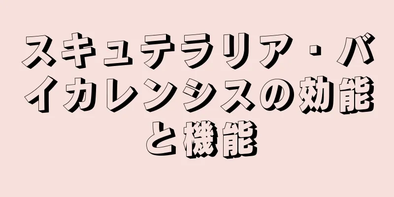 スキュテラリア・バイカレンシスの効能と機能