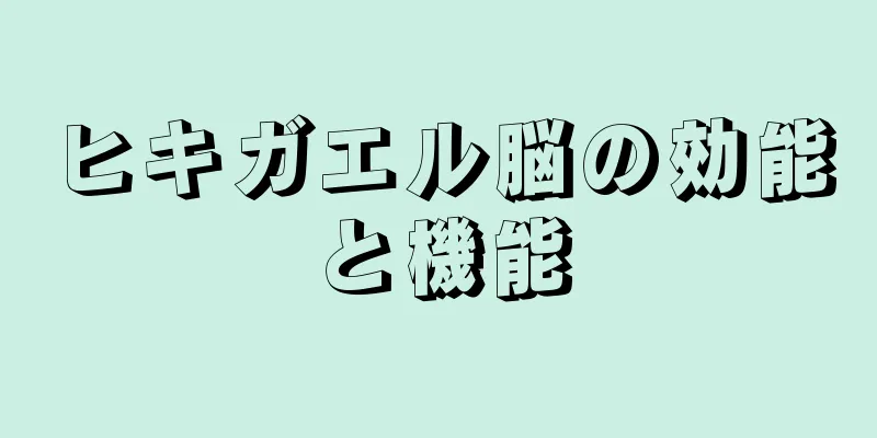 ヒキガエル脳の効能と機能