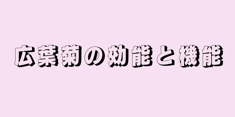 広葉菊の効能と機能