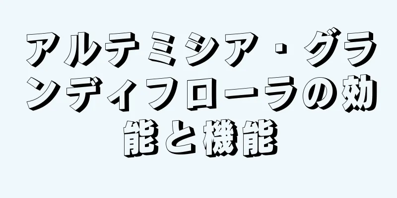アルテミシア・グランディフローラの効能と機能