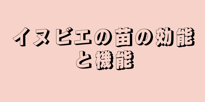 イヌビエの苗の効能と機能
