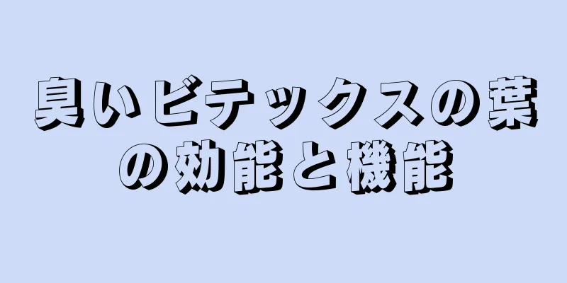 臭いビテックスの葉の効能と機能