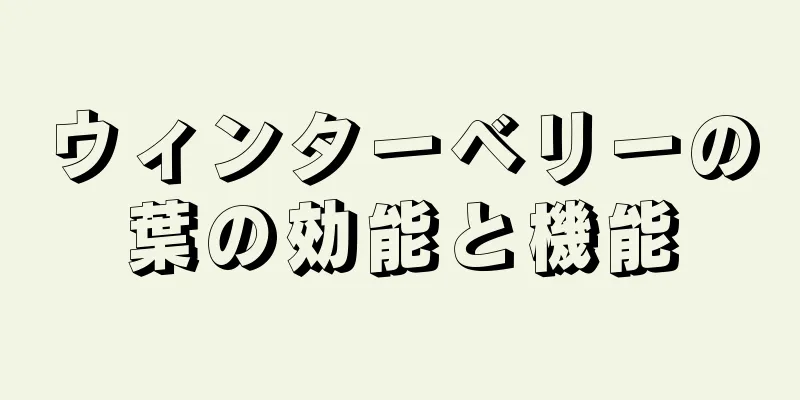 ウィンターベリーの葉の効能と機能