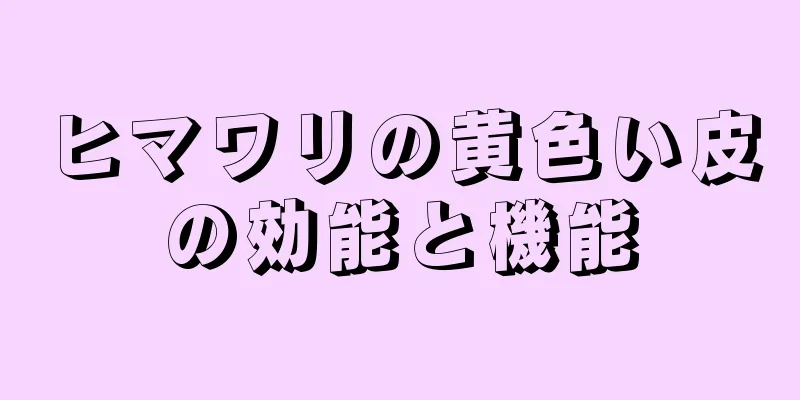 ヒマワリの黄色い皮の効能と機能