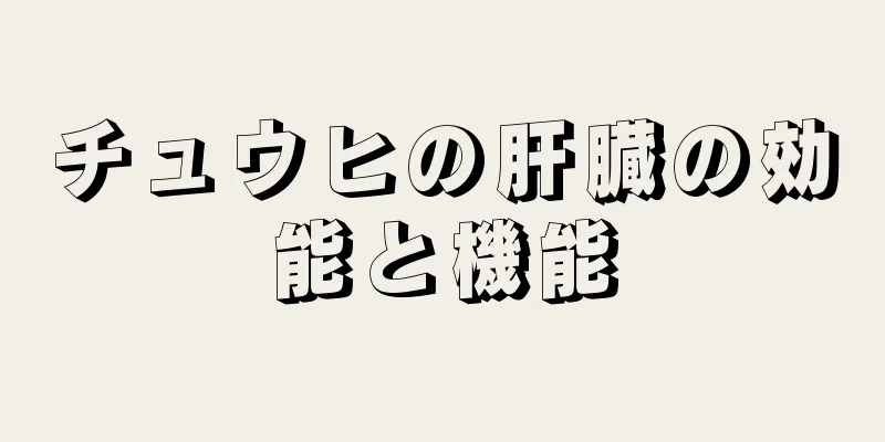 チュウヒの肝臓の効能と機能