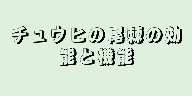 チュウヒの尾棘の効能と機能