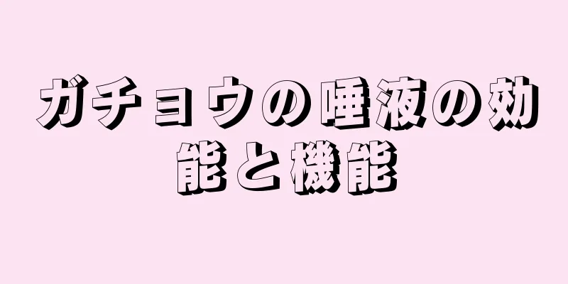ガチョウの唾液の効能と機能