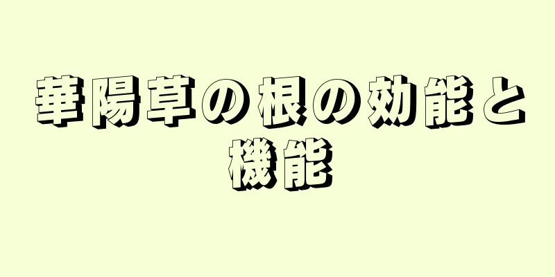 華陽草の根の効能と機能