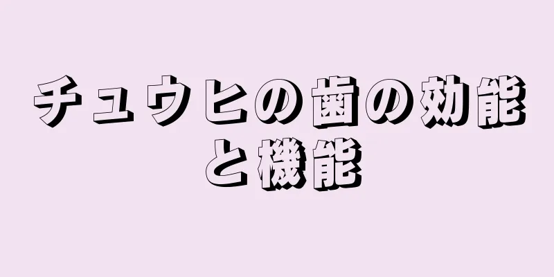 チュウヒの歯の効能と機能