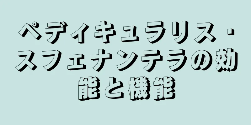 ペディキュラリス・スフェナンテラの効能と機能