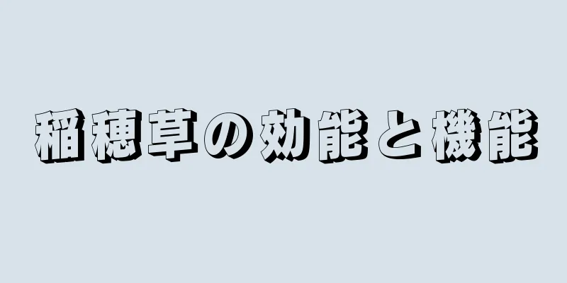 稲穂草の効能と機能