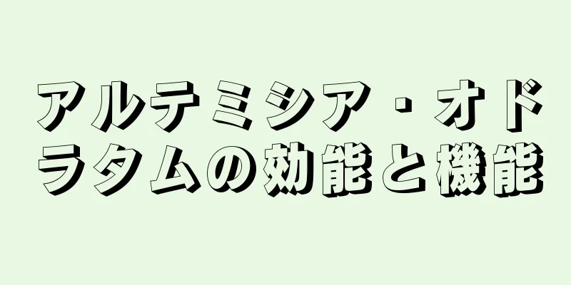 アルテミシア・オドラタムの効能と機能