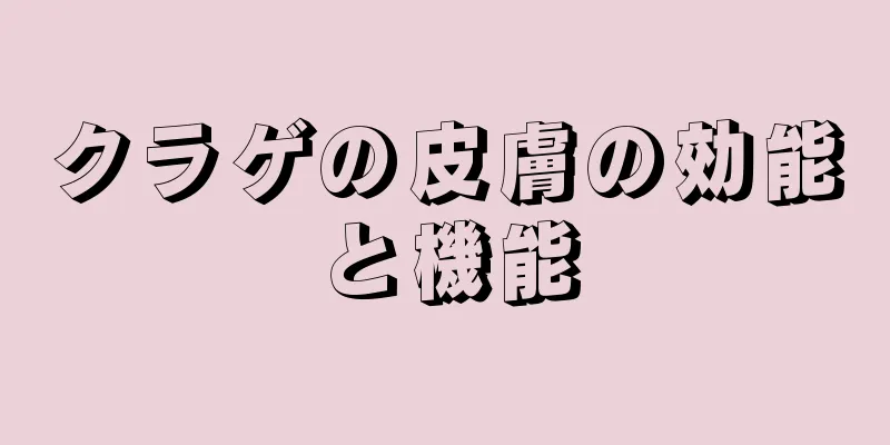 クラゲの皮膚の効能と機能