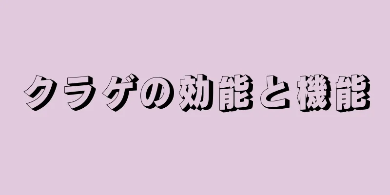 クラゲの効能と機能