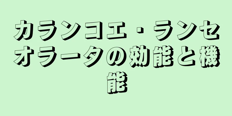 カランコエ・ランセオラータの効能と機能
