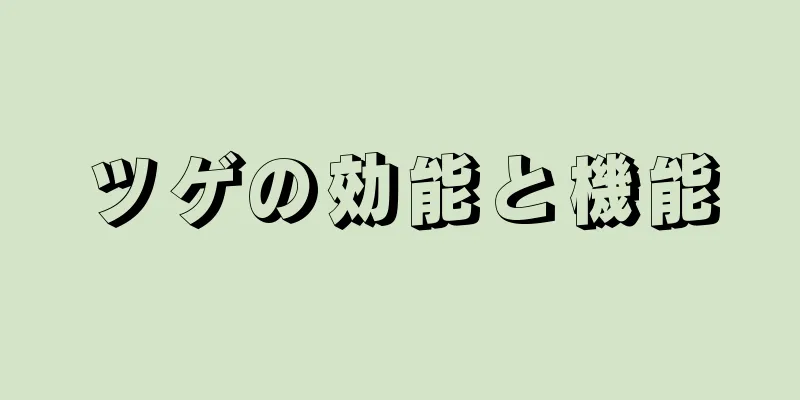 ツゲの効能と機能