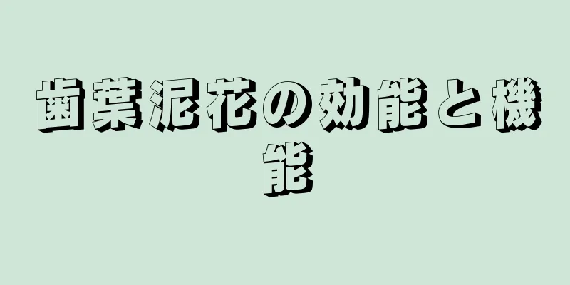 歯葉泥花の効能と機能