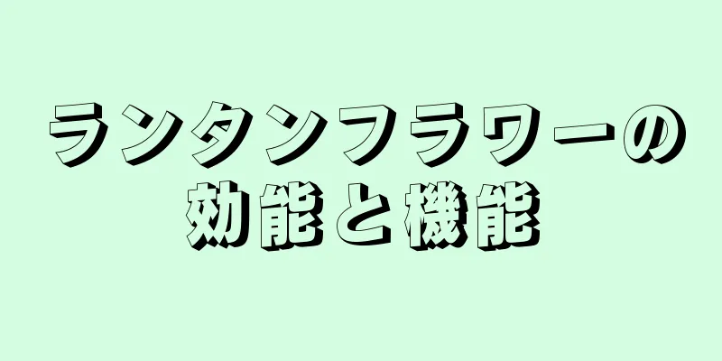 ランタンフラワーの効能と機能