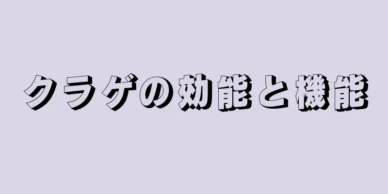 クラゲの効能と機能