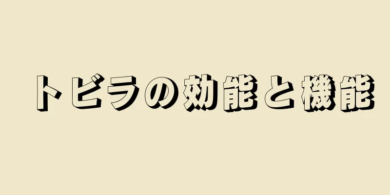 トビラの効能と機能