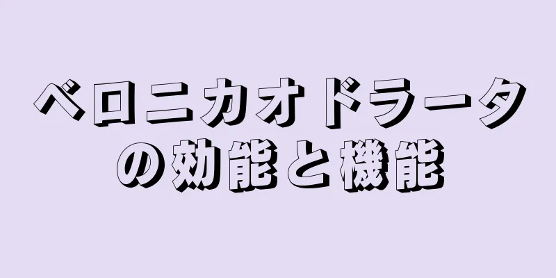 ベロニカオドラータの効能と機能
