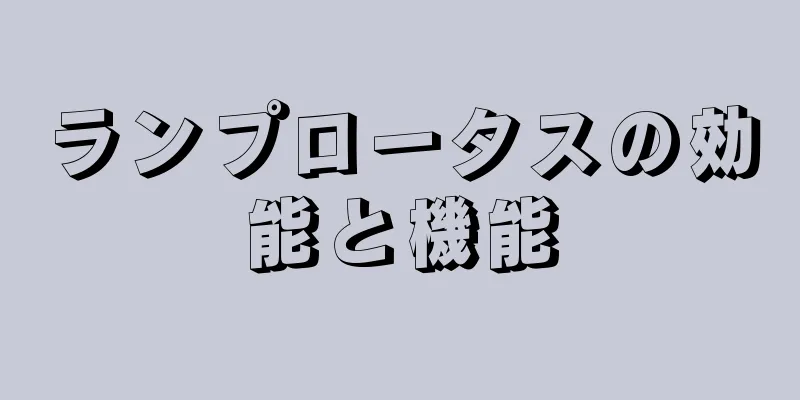 ランプロータスの効能と機能