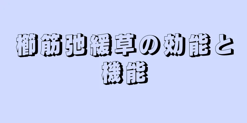 櫛筋弛緩草の効能と機能