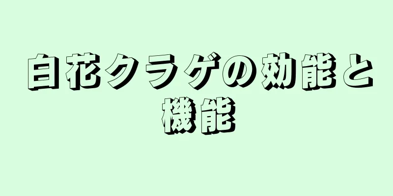 白花クラゲの効能と機能