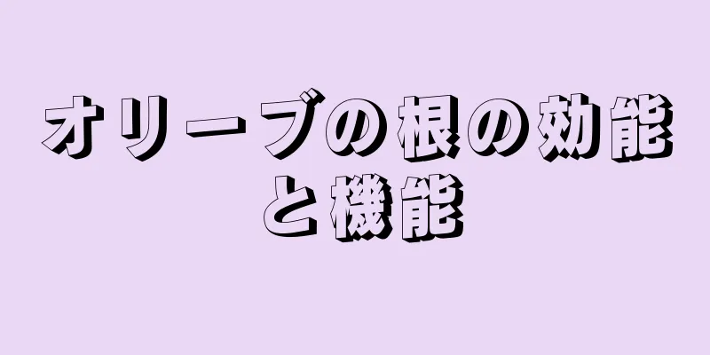 オリーブの根の効能と機能
